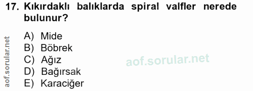 17. soru: Kıkırdaklı balıklarda spiral valfler nerede bulunur? A) Mide rular.n B) Böbrek C) Ağız aof.so D) Bağırsak E) Karaciğer