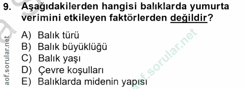 9. soru: Aşağıdakilerden hangisi balıklarda yumurta verimini etkileyen faktörlerden değildir? A) Balık türü B) Balık büyüklüğü…