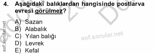 4. soru: Aşağıdaki balıklardan hangisinde postlarva evresi görülmez? A) Sazan B) Alabalık C) Yılan balığı D) Levrek E) Kefal