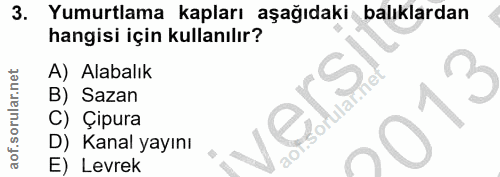3. soru: Yumurtlama kapları aşağıdaki balıklardan hangisi için kullanılır? A) Alabalık 3 B) Sazan ular. C) Çipura D) Kanal yay…