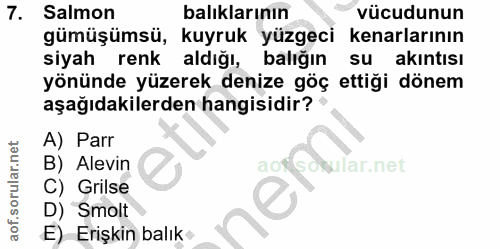 7. soru: Salmon balıklarının vücudunun gümüşümsü, kuyruk yüzgeci kenarlarının siyah renk aldığı, balığın su akintısı yönünde y…