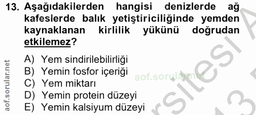 13. soru: Aşağıdakilerden hangisi denizlerde ağ kafeslerde balık yetiştiriciliğinde yemden kaynaklanan kirlilik yükünü doğrudan…