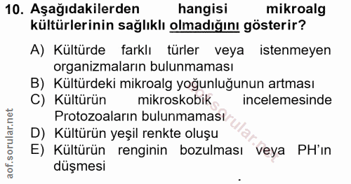 10. soru: Aşağıdakilerden hangisi mikroalg kültürlerinin sağlıklı olmadığını gösterir? A) Kültürde farklı türler veya istenmeye…