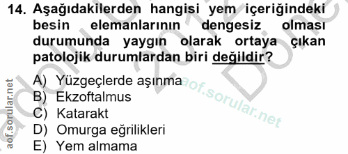 14. soru: Aşağıdakilerden hangisi yem içeriğindeki besin, elemanlarının' dengesiz olması durumunda yaygın olarak ortaya çıkan A…