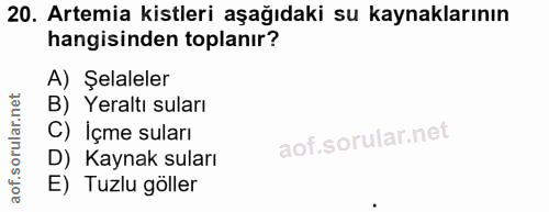 20. soru: Artemia kistleri aşağıdaki su kaynaklarının hangisinden toplanır? A) Şelaleler B) Yeraltı suları C) Içme suları D) Ka…