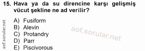 15. soru: Hava ya da su direncine karşı gelişmiş vücut şekline ne ad verilir? A) Fusiform B) Alevin C) Protandry D) Parr E) Pis…
