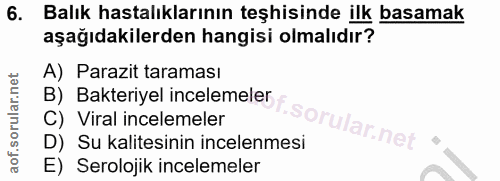 6. soru: Balık hastalıklarının teşhisinde ilk basamak aşağıdakilerden hangisi olmalıdır? A) Parazit taraması B) Bakteriyel inc…