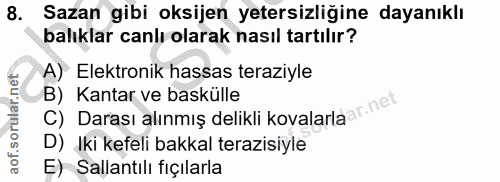 8. soru: Sazan gibi oksijen yetersizliğine dayanıklı balıklar canlı olarak nasıl tartılır? A) Elektronik hassas teraziyle C) D…