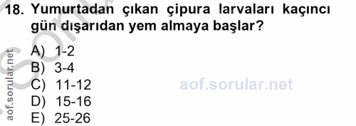 18. soru: Yumurtadan çıkan çipura larvaları kaçıncı gün dışarıdan yem almaya başlar? A) 1-2 orular.net B) 3-4 C) 11-12 aof. D)…