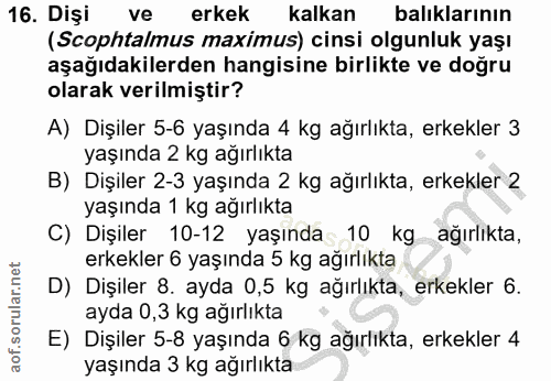 16. soru: Dişi ve erkek kalkan balıklarının (Scophtalmus maximus) cinsi olgunluk yaşı aşağıdakilerden hangisine birlikte ve doğ…