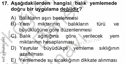 17. soru: Aşağıdakilerden hangisi balık yemlemede doğru bir uygulama değildir? A) Balıkların aşırı beslenmesi B) Yem) miktarını…