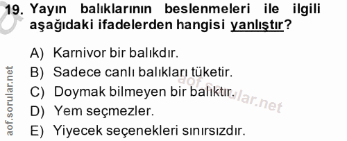 19. soru: Yayın balıklarının beslenmeleri ile ilgili aşağıdaki ifadelerden hangisi yanlıştır? A) Karnivor bir balıkdır. B) Sade…