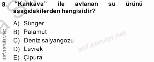 8. soru: "Kankava" ile avlanan su ürünü aşağıdakilerden hangisidir? A) Sünger B) Palamut C) Deniz salyangozu of.sorular.ne D)…