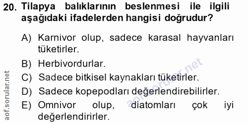 20. soru: Tilapya balıklarının beslenmesi ile ilgili aşağıdaki ifadelerden hangisi doğrudur? A) Karnivor olup, sadece karasal h…