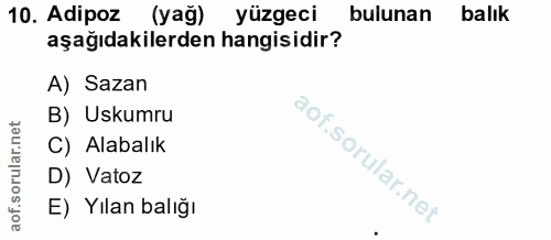 10. soru: Adipoz (yağ) yüzgeci bulunan balık aşağıdakilerden hangisidir? A) Sazan B) Uskumru C) Alabalık D) Vatoz E) Yılan balığı