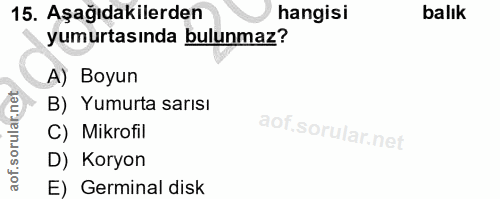 15. soru: Aşağıdakilerden hangisi balık yumurtasında bulunmaz? A) Boyun B) Yumurta sarısı C) Mikrofil D) Koryon E) Germinal disk