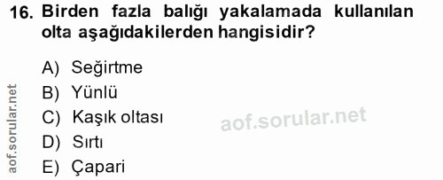 16. soru: Birden fazla balığı yakalamada kullanılan olta aşağıdakilerden hangisidir? A) Seğirtme B) Yünlü C) Kaşık oltası D) Sı…