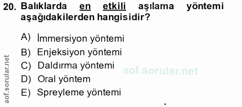 20. soru: Balıklarda en etkili aşılama yöntemi aşağıdakilerden hangisidir? A) Immersiyon yöntemi B) Enjeksiyon yöntemi C) Daldı…