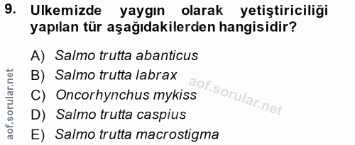 9. soru: Ulkemizde yaygın olarak yetiştiriciliği yapılan tür aşağıdakilerden hangisidir? A) Salmo trutta abanticus B) Salmo tr…