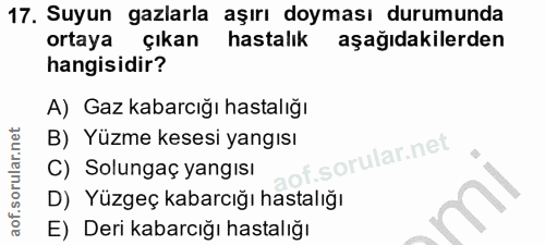 17. soru: Suyun gazlarla aşırı doyması durumunda ortaya çıkan hastalık aşağıdakilerden hangisidir? A) Gaz kabarcığı hastalığı B…