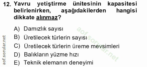 12. soru: Yavru yetiştirme ünitesinin kapasitesi belirlenirken, aşağıdakilerden hangisi dikkate alınmaz? A) Damızlık sayısı B)…