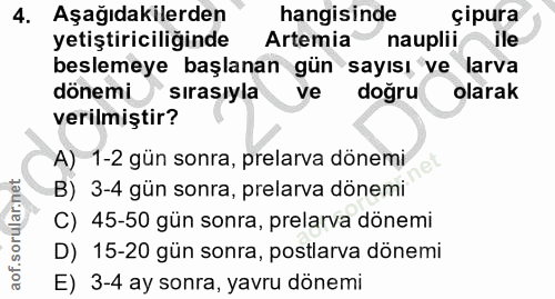4. soru: Aşağıdakilerden hangisinde çipura yetiştiriciliğinde Artemia nauplii ile beslemeye başlanan gün sayısı ve larva dönem…