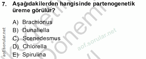 7. soru: Aşağıdakilerden hangisinde partenogenetik üreme görülür? A) Brachionus nem B) Dunaliella C) Scenedesmus D) Chlorella…