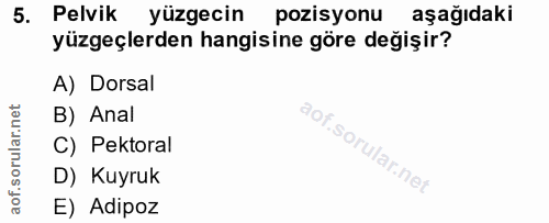 5. soru: Pelvik yüzgecin pozisyonu aşağıdaki yüzgeçlerden hangisine göre değişir? A) Dorsal B) Anal C) Pektoral D) Kuyruk E) A…