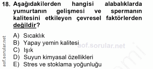 18. soru: Aşağıdakilerden hangisi alabalıklarda yumurtanın gelişmesi ve spermanın kalitesini etkileyen çevresel faktörlerden de…