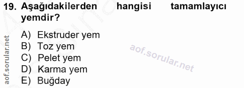 19. soru: Aşağıdakilerden hangisi tamamlayıcı yemdir? A) Ekstruder yem B) Toz yem C) Pelet yem D) Karma yem E) Buğday