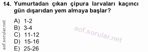 14. soru: Yumurtadan çıkan çipura larvaları kaçıncı gün dışarıdan yem almaya başlar? A) 1-2 B) 3-4 C) 11-12 D) 15-16 E) 25-26