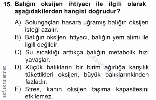 15. soru: Balığın oksijen ihtiyacı ile ilgili olarak aşağıdakilerden hangisi doğrudur? A) Solungaçları hasara uğramış balığın o…
