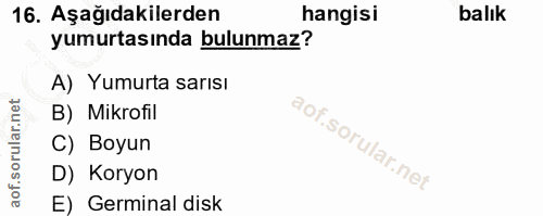16. soru: Aşağıdakilerden hangisi balık yumurtasında bulunmaz? A) Yumurta sarısı B) Mikrofil C) Boyun D) Koryon E) Germinal disk