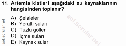 11. soru: Artemia kistleri aşağıdaki su kaynaklarının hangisinden toplanır? A) Şelaleler B) Yeraltı suları C) Tuzlu göller D) I…