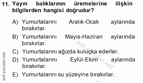 11. soru: Yayın balıklarının üremelerine ilişkin bilgilerden hangisi doğrudur? A) Yumurtalarını Aralık-Ocak aylarında bırakırla…