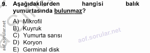 9. soru: Aşağıdakilerden hangisi balık yumurtasında bulunmaz? A) Mikrofil B) Kuyruk C) Yumurta sarısı D) Koryon E) Germinal disk