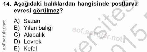 14. soru: Aşağıdaki balıklardan hangisinde postlarva evresi görülmez? A) Sazan B) Yılan balığı aof.spf@r.neth n C) Alabalık D)…
