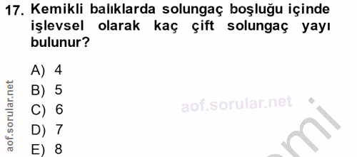 17. soru: Kemikli balıklarda solungaç boşluğu içinde işlevsel olarak kaç çift solungaç yayı bulunur? A) 4 B) 5 C) 6 D) 7 E) 8