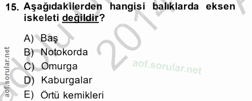 15. soru: Aşağıdakilerden hangisi balıklarda eksen iskeleti değildir? A) Baş B) Notokorda C) Omurga D) Kaburgalar E) Örtü kemik…