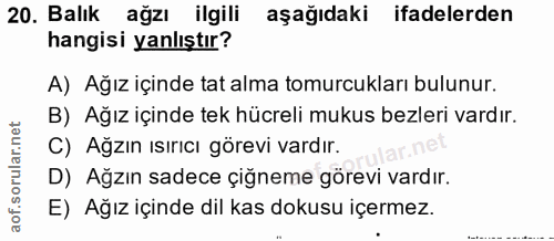 20. soru: Balık ağzı ilgili aşağıdaki ifadelerden hangisi yanlıştır? A) Ağız içinde tat alma tomurcukları bulunur. B) Ağız için…
