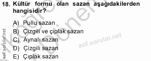 18. soru: Kültür formu olan sazan aşağıdakilerden hangisidir? A) Pullu sazan B) Çizgili ve çıplak sazan C). Aynalı sazan D) Çiz…