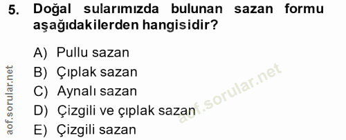 5. soru: Doğal sularımızda bulunan sazan formu aşağıdakilerden hangisidir? A) Pullu sazan B) Çıplak sazan C) Aynalı sazan D) Ç…