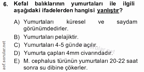 6. soru: Kefal balıklarının yumurtaları ile ilgili aşağıdaki ifadelerden hangisi yanlıştır? A) Yumurtaları küresel ve saydam g…