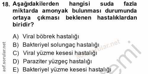 18. soru: Aşağıdakilerden hangisi suda fazla miktarda amonyak bulunması durumunda ortaya çıkması beklenen hastalıklardan biridi…