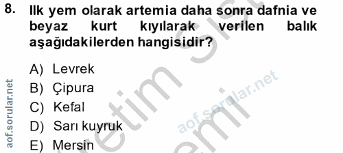8. soru: Ilk yem olarak artemia daha sonra dafnia ve beyaz kurt kıyılarak verilen balık aşağıdakilerden hangisidir? A) Levrek…
