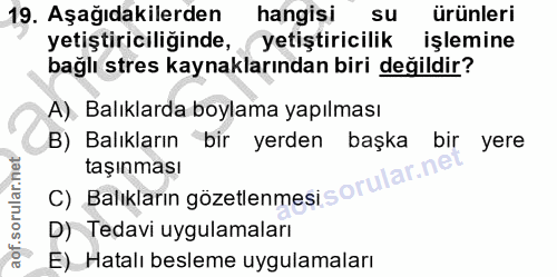 19. soru: Aşağıdakilerden hangisi su ürünleri yetiştiriciliğinde, ( yetiştiricilik işlemine bağlı stres kaynaklarından biri değ…