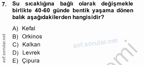 7. soru: Su sıcaklığına bağlı olarak değişmekle birlikte 40-60 günde bentik yaşama dönen balık aşağıdakilerden hangisidir? A)…