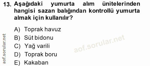 13. soru: Aşağıdaki yumurta alım ünitelerinden hangisi sazan balığından kontrollü yumurta almak için kullanılır? A) Toprak havu…