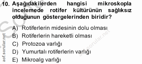 10. soru: Aşağıdakilerden hangisi mikroskopla incelemede rotifer kültürünün sağlıksız olduğunun göstergelerinden biridir? A) Ro…