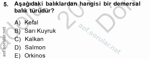 5. soru: Aşağıdaki balıklardan hangisi bir demersal balık türüdür? A) Kefal B) Sarı Kuyruk C) Kalkan D) Salmon E) Orkinos